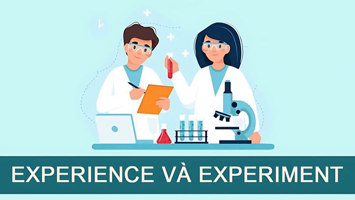Phân tích sự khác nhau giữa Experience và Experiment